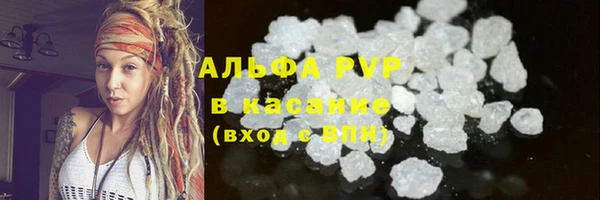 сатива Кирсанов