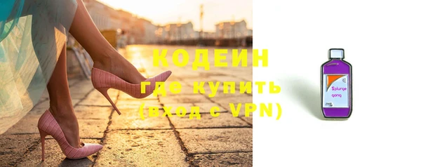 прущие грибы Кирс