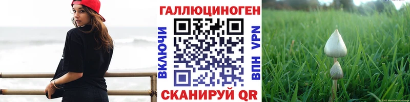 МЕГА зеркало  Кореновск  Псилоцибиновые грибы Cubensis 