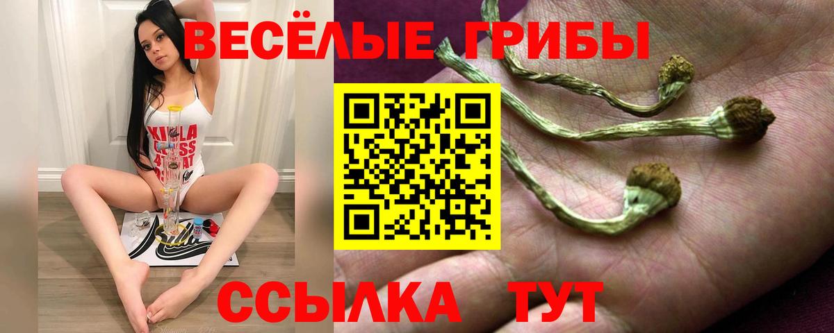 наркота  Галлюциногенные грибы прущие грибы  Вход с VPN  Кореновск 